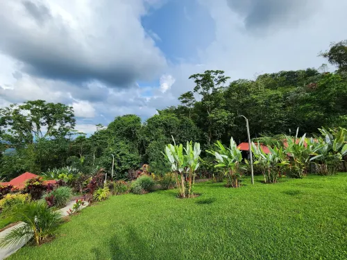 Cabañas Caeli Rainforest Glass Cabin la Perezosa la Fortuna Hotels in Chachagua