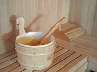 阿勒瑟亞別墅酒店 - SPA