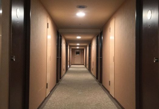 Diamond Hotel Tokyo Over view