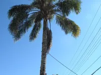 Pousada do Coqueiro Hotels in Urubici