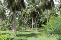 Marawila Residence - Wifi