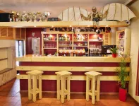 Balónový Hotel a Pivovar Radešín - bars