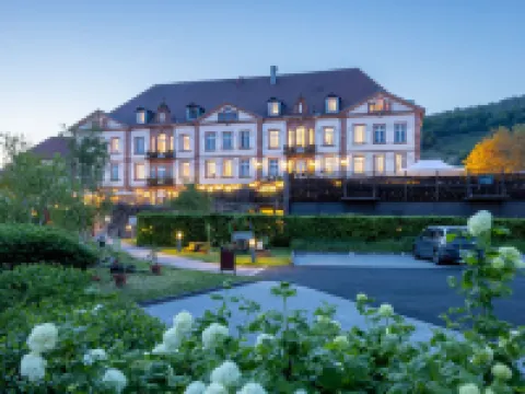 瓦勒-維涅酒店 科爾馬酒店