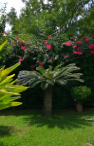 B&b Mondello Resort