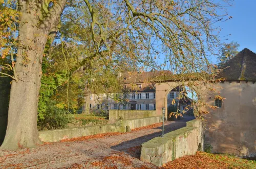 Chambres d'hôtes Château de Grunstein - บีแอนด์บี