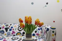 إكس إكس في أبريل باي واندرفول إيتالي