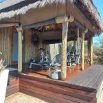 Evolve Back Kalahari - Gym