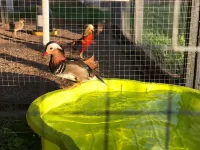 Chambre d'hôtes "COQUELICOT"