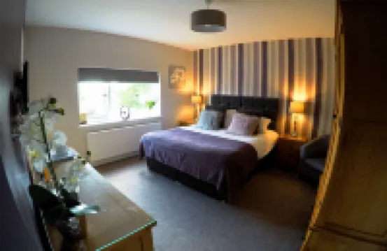 The Vine B & B