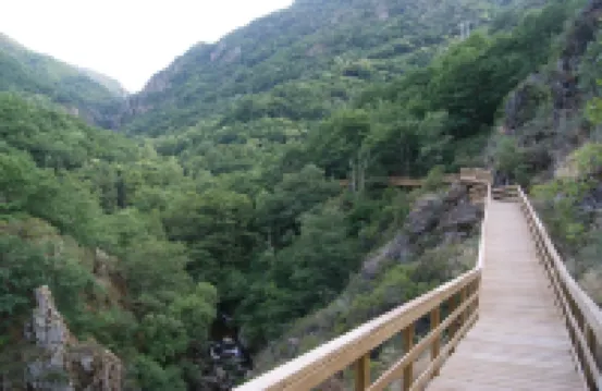 Apartamentos Ribeira Sacra