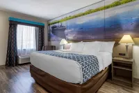 Clarion Pointe Sulphur - Lake Charles