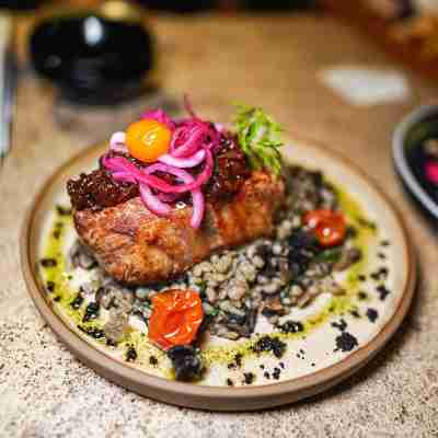 Terra Firma Hotel Boutique Dining/Meeting Rooms