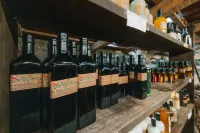 Agriturismo Fattoria Terranova - bar