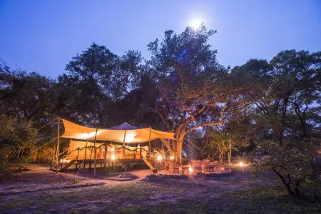Mukambi Fig Tree Bush Camp – All Inclusive