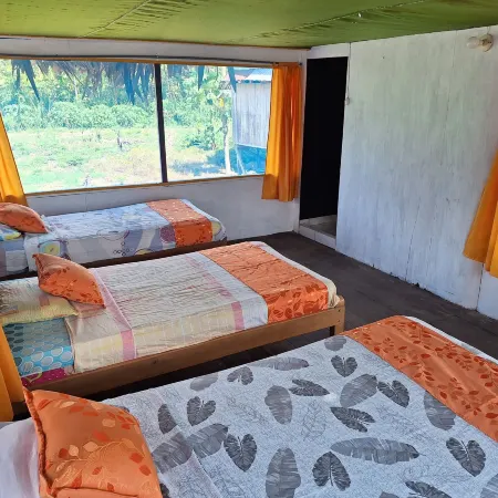 Canopy Tours Iquitos