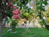 Rancho Mama Juany Hotel a 