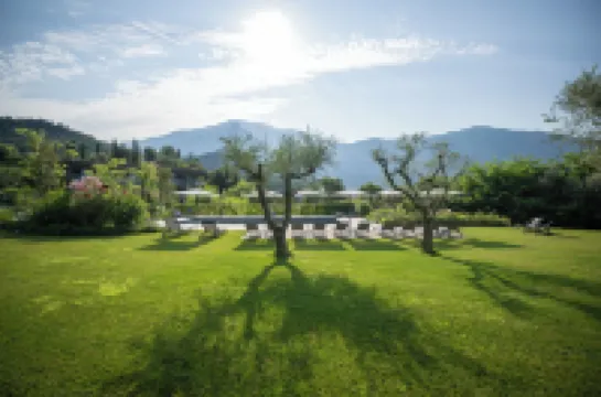 아르코리브 아그리수이트