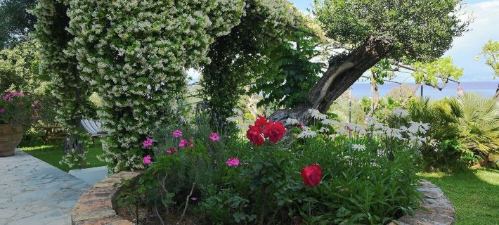 Gina Studios Hotels in Achillii