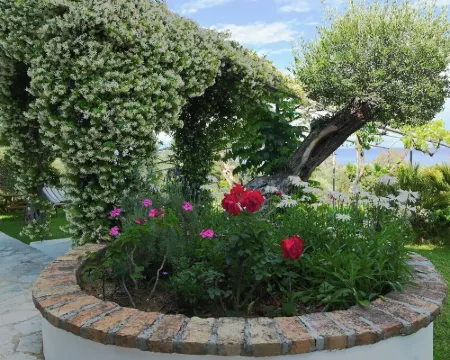 Gina Studios Hotels in Benitses