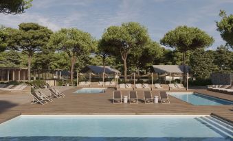 wecamp Cádiz