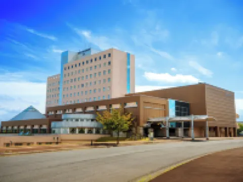 八戶格蘭德桑皮亞 八戶酒店