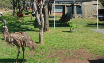 Ruah Park Camping & Outdoor