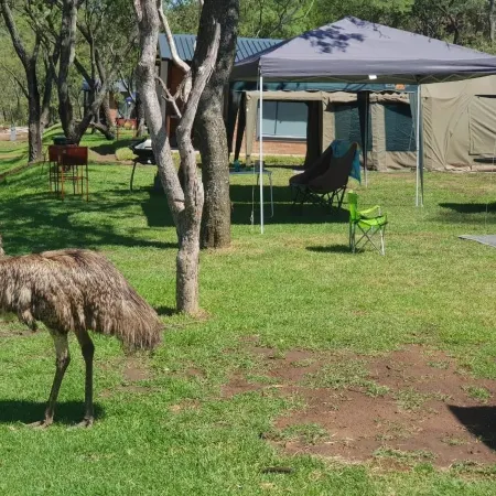 Ruah Park Camping & Outdoor