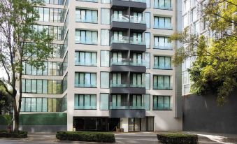 Crisol Suites Condesa