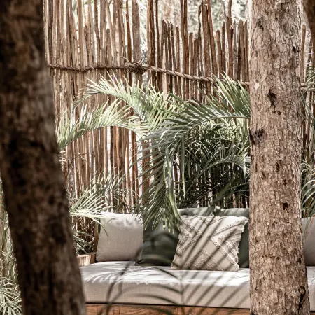 Taio Tulum