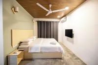 Bibee Surf