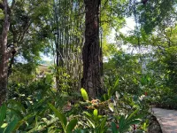 Luxury, Comfort, Security & Walk to the Beach to Enjoy the Best of Costa Rica