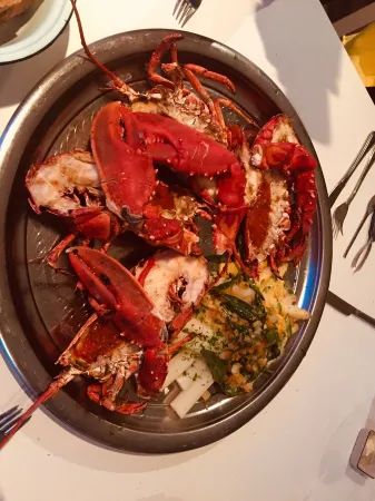 Cozy Vacation Home in Zeeland, Park de Kreek with Wlan