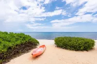 Luxury Oceanfront Villa, 2 Primary Suites + 3rd bdrm, Pool