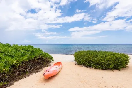 Luxury Oceanfront Villa, 2 Primary Suites + 3rd bdrm, Pool