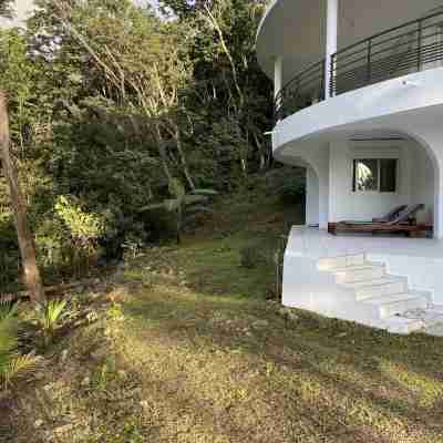 Pleasant studio between the mountains and the sea, 5 minutes from the botanical gardens Hotel Exterior