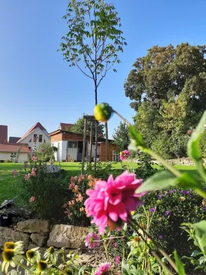 Modern vacation apartment "Tante Emma" Hotels in Sinsheim