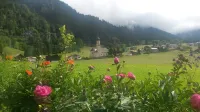 Guesthouse zum Bären