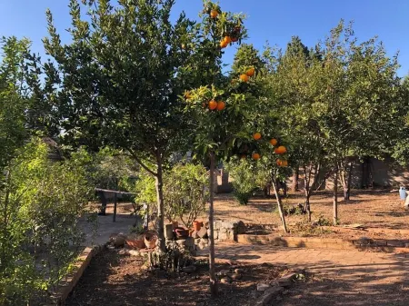Sea View Villa in Capo Vaticano - Relaxation, Sunsets & Sea Around Tropea Отели в г. Capo Vaticano