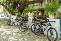 Villa Potrero Luxury Private Beachfront Home with Cook, Housekeeper, Concierge