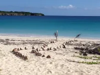 Tranquil Hillside Paradise