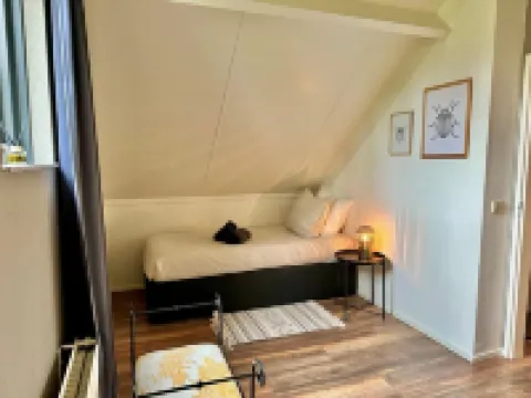 Lovely forest Cottage for families or a group of friends!