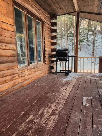 Cozy Hilltop Cabin - 10 minutes to Bancroft