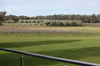 Adina Vineyard - Mountain view