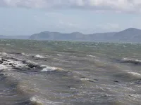 Beudy Bach Hotels in Llangoed