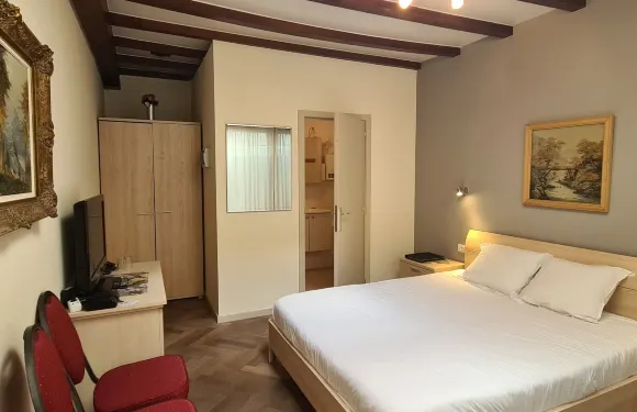 伊珀爾中心阿萊恩斯酒店