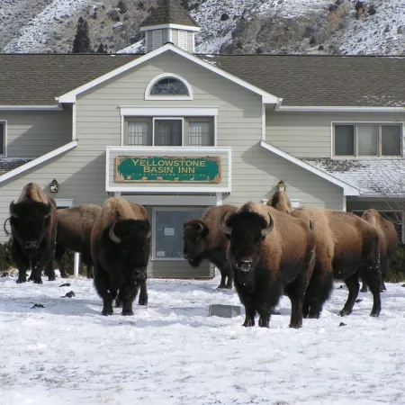 Yellowstone Basin Inn