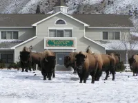 Yellowstone Basin Inn Hotels in 