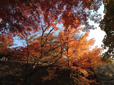 ホテル周辺 北ホテルの写真