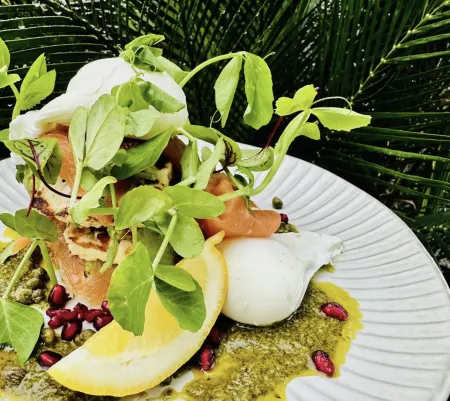 Batemans Bay Lodge Отели рядом с достопримечательностью «Treasures from the Deep Opal and Shell Museum»