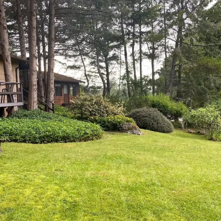 Driftwood Village Resort